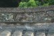 Thumbs/tn_Img_0007.jpg