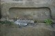 Thumbs/tn_Img_0027.jpg