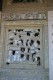 Thumbs/tn_Img_0993.jpg