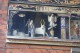 Thumbs/tn_Img_1005.jpg