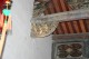 Thumbs/tn_Img_1045.jpg