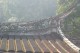Thumbs/tn_Img_1048.jpg