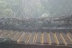 Thumbs/tn_Img_1049.jpg