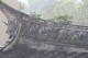 Thumbs/tn_Img_1052.jpg
