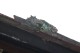Thumbs/tn_Img_1057.jpg