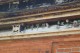 Thumbs/tn_Img_1064.jpg
