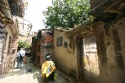 Thumbs/tn_Img_1070.jpg